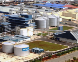 Công Ty TNHH Kinh Doanh Nông Sản Việt Nam